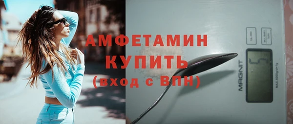 СК Дедовск
