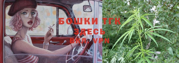 бошки Дегтярск